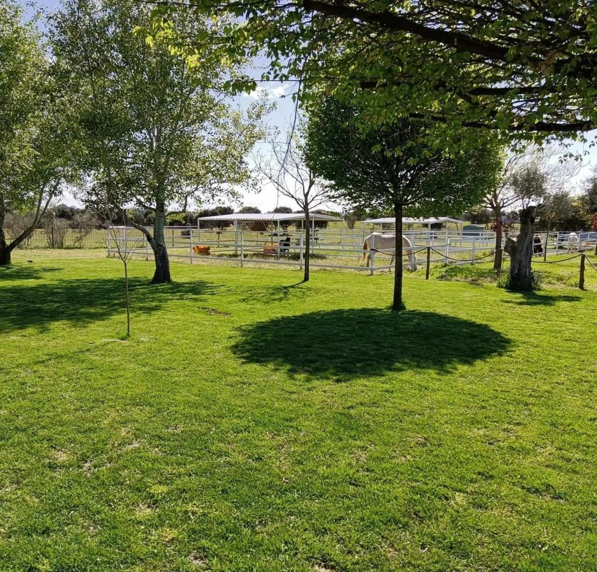 Casa Rural Granja Abril Cardiel de los Montes Экстерьер фото
